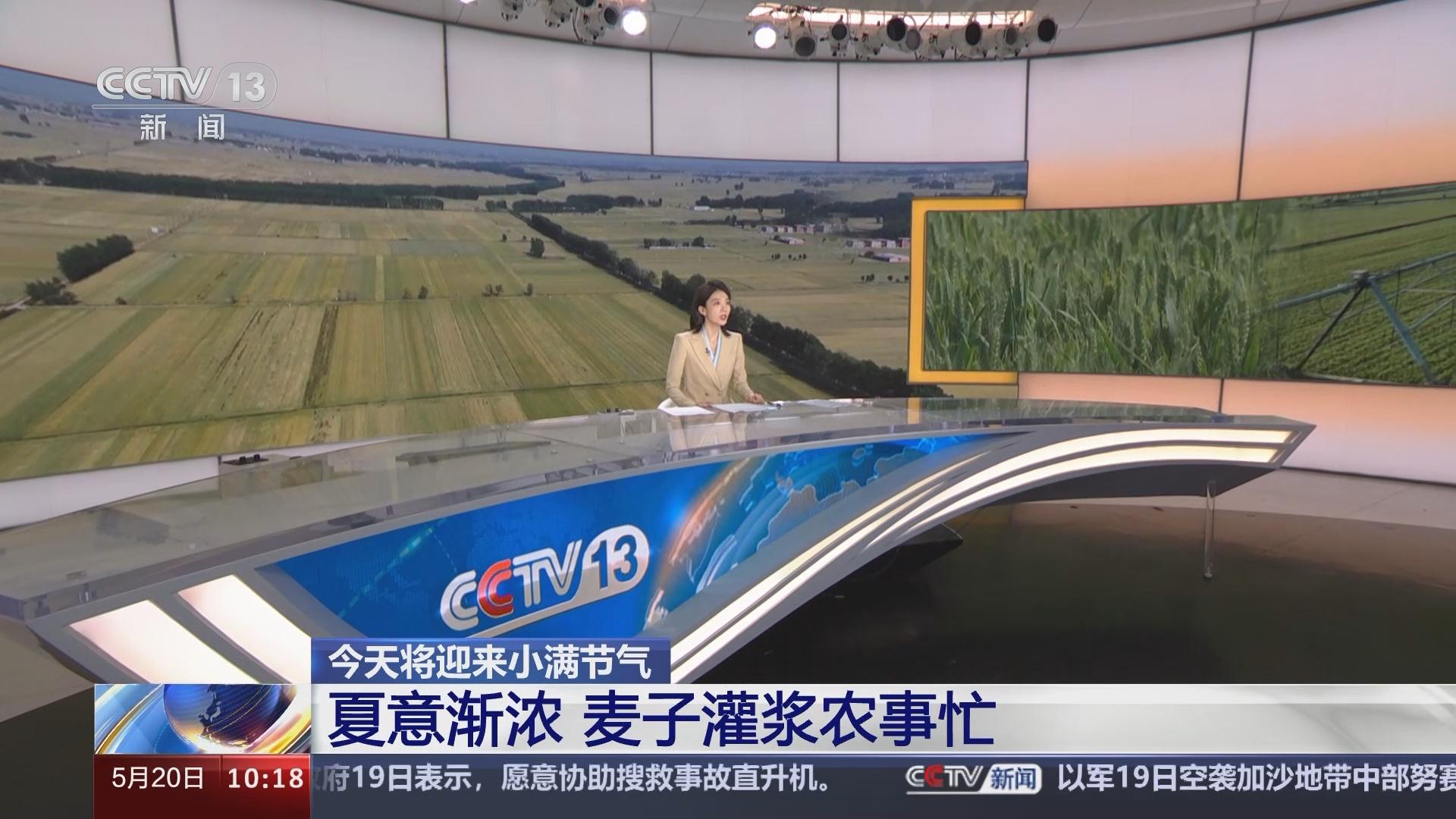麦子直播安卓版桔子直播apk电视版